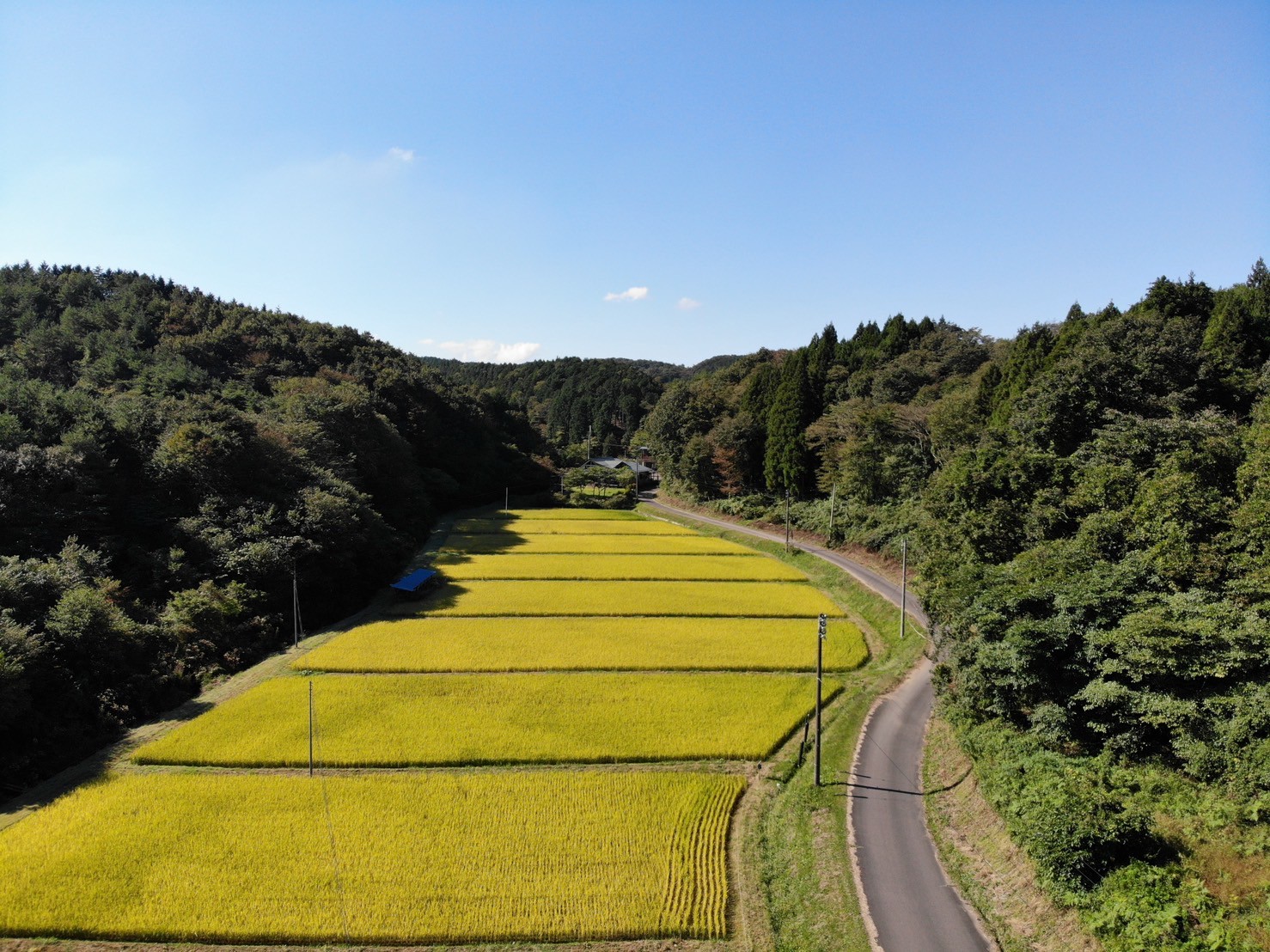 program-day-list-image