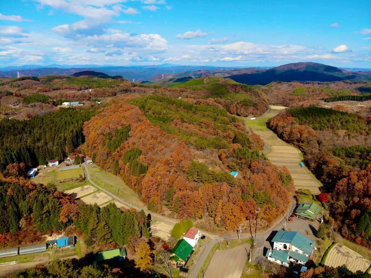 四季のリズムで、心と身体を整える