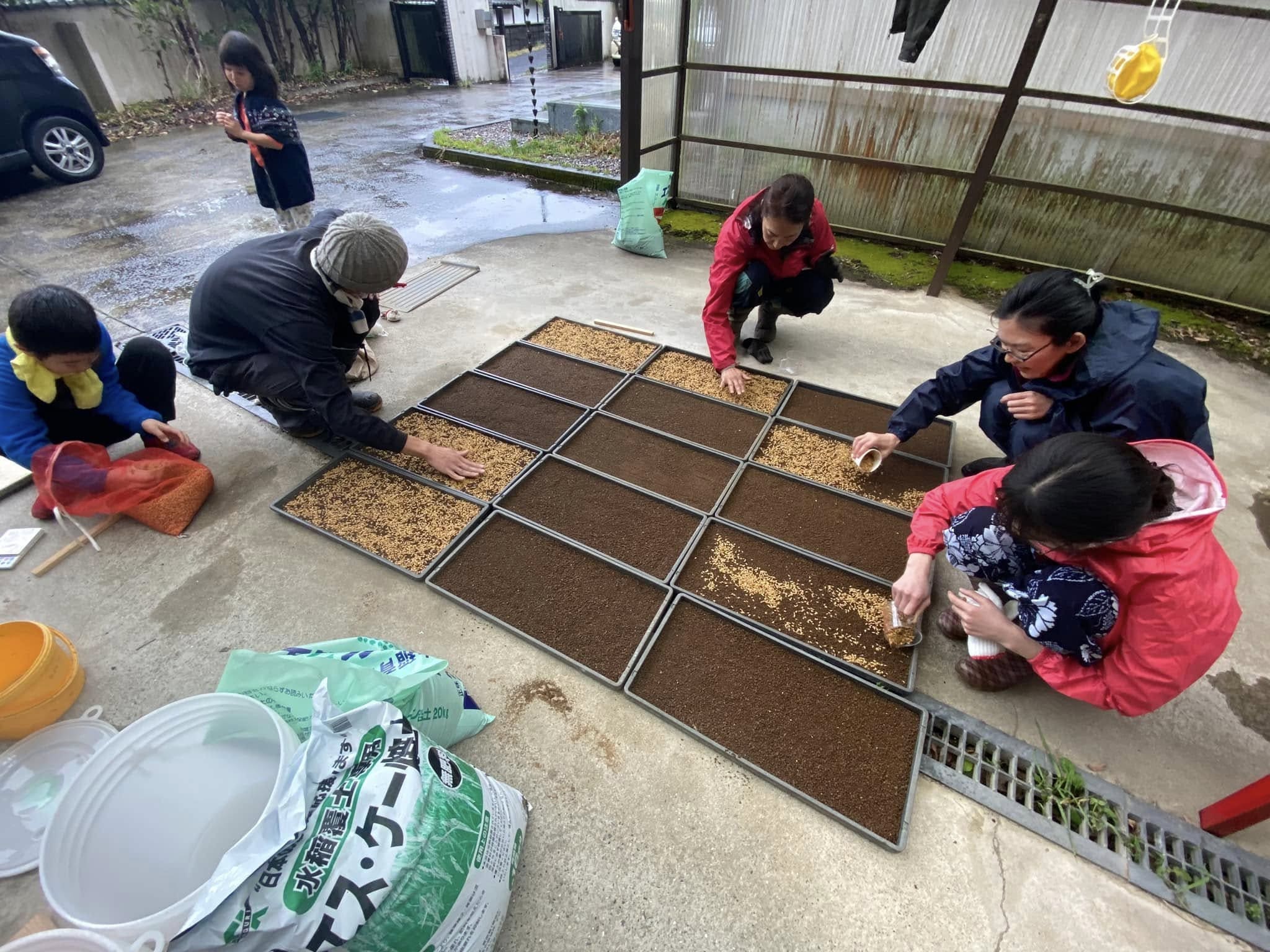 季暮(きぐらし)について